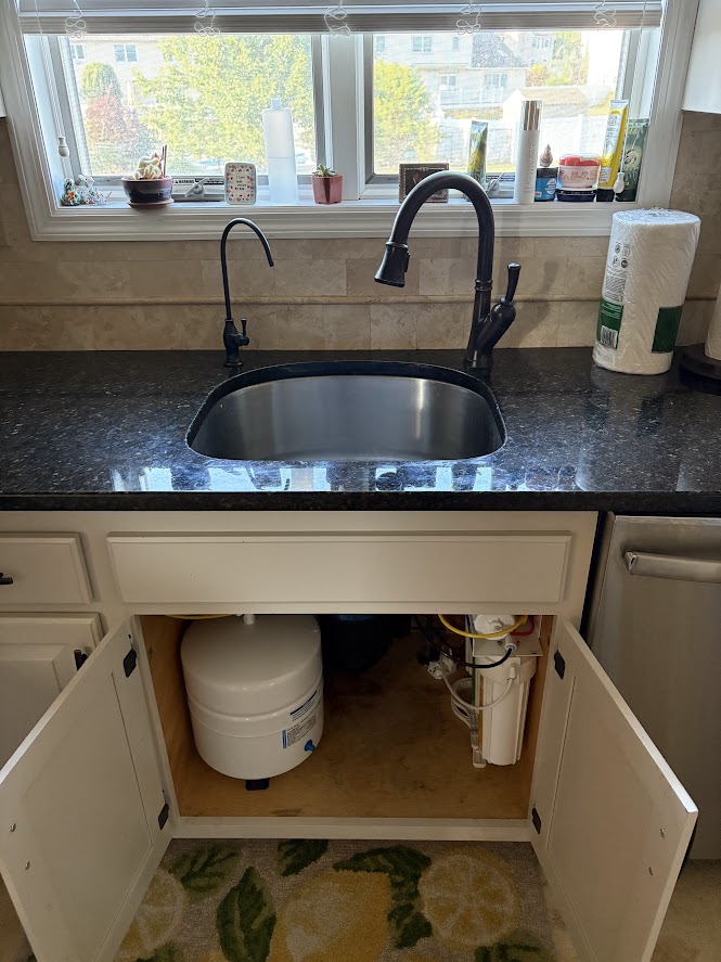 Reverse Osmosis System